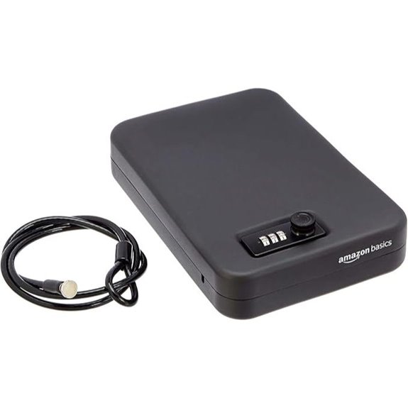 Amazon Basics Portable Security Case with Code Lock