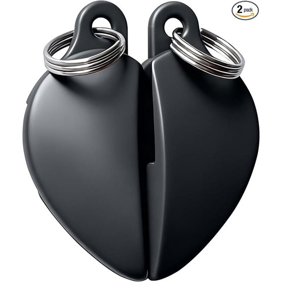 Anti Theft Zipper Clips Lock 2-Pack Black
