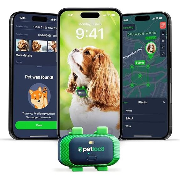 Dog GPS Tracker with Real-Time Location & Alerts