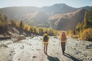 Wallet Tracking for Frequent Travelers