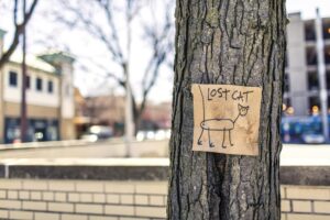 Understanding Lost Mode Messaging
